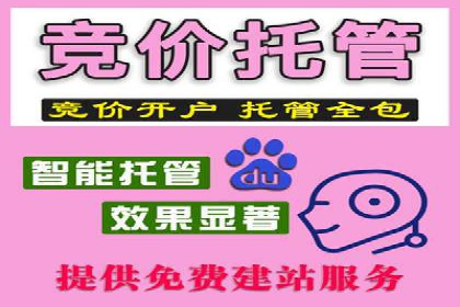 专业SEM代运营推广公司成功案例分享